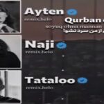 ریمیکس ترکی “قوربان اولوم سویوخ اولما منن” از آیتن رسول × ناجی × تتلو